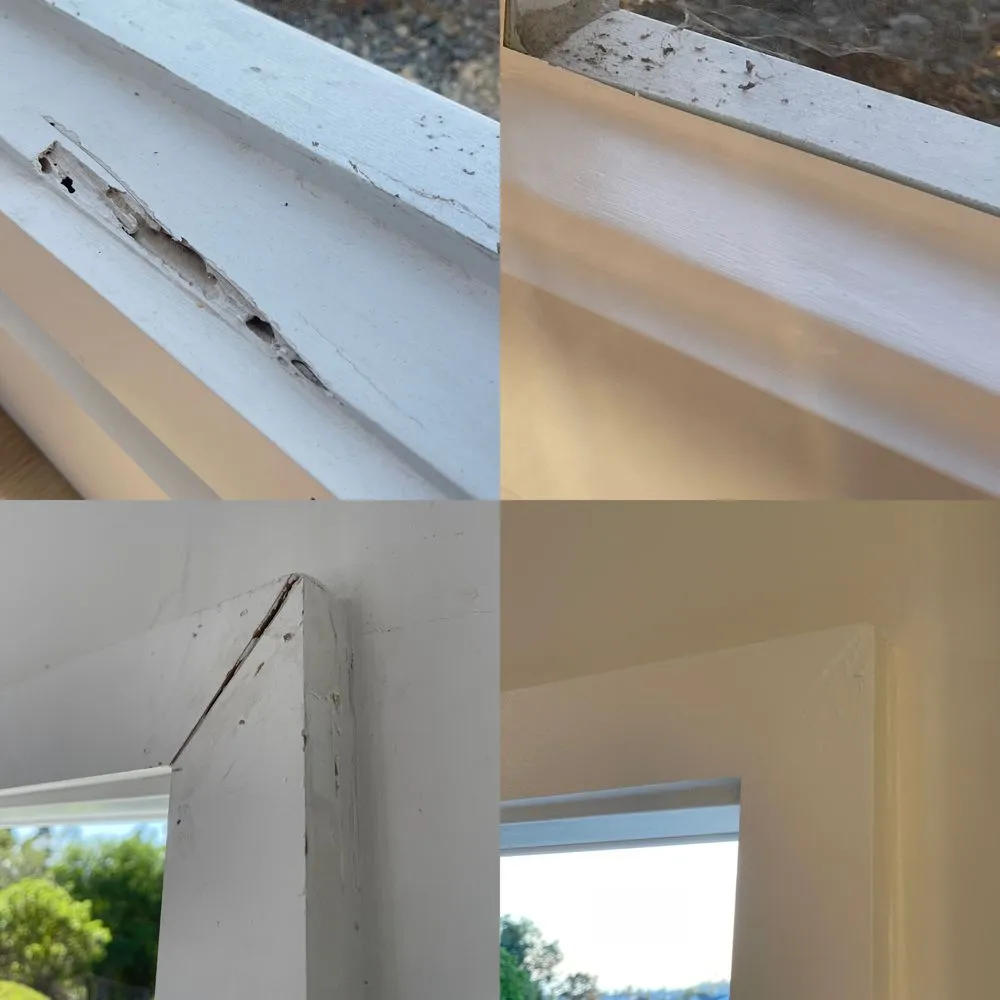 Professional outdoor landscaping for beautiful yards across Lake Forest, CA - Garden Gods