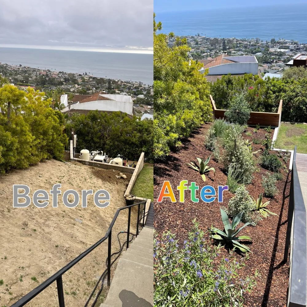 Expert residential landscaping with custom design in Lake Forest, CA by Garden Gods