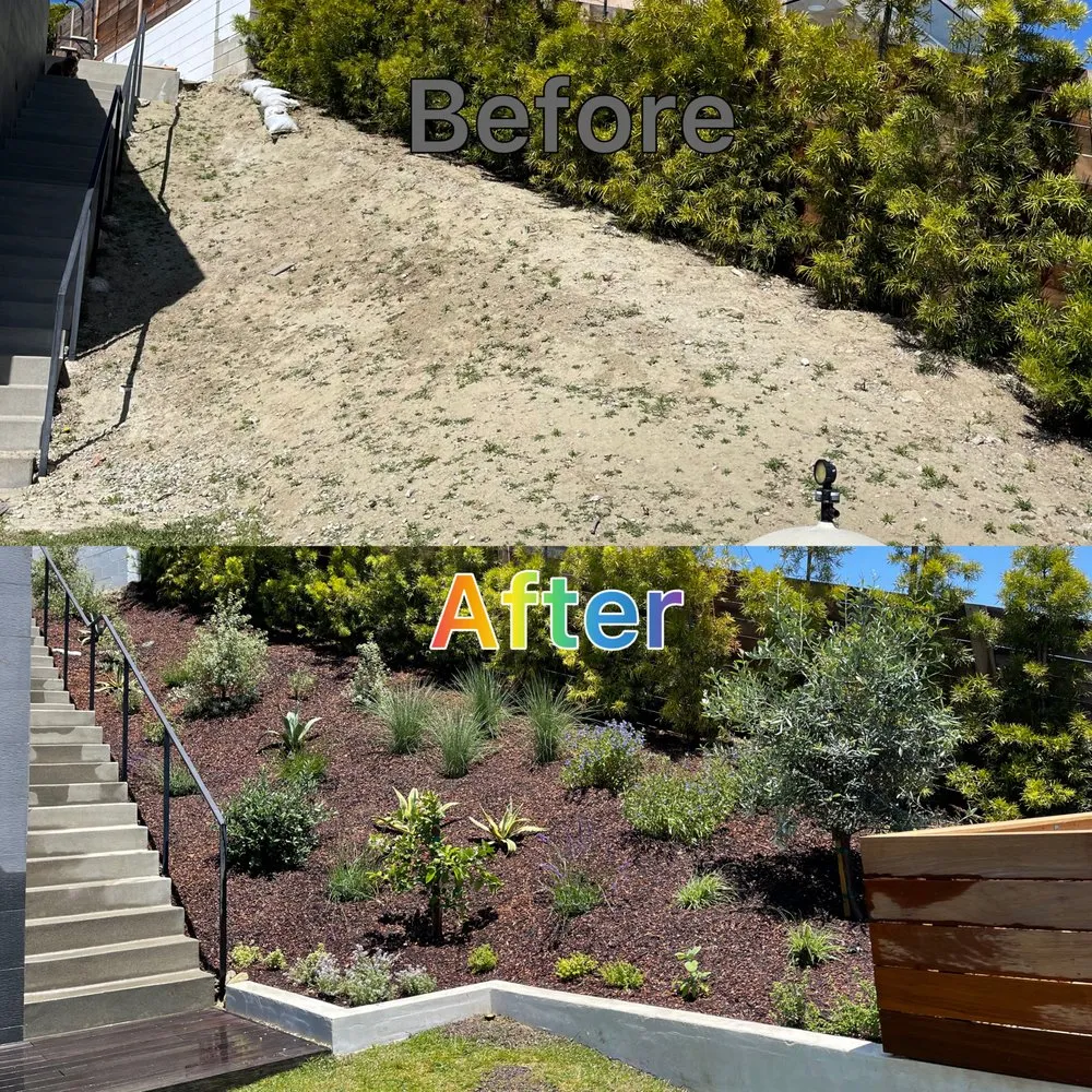 Affordable landscape design in Lake Forest, CA by Garden Gods