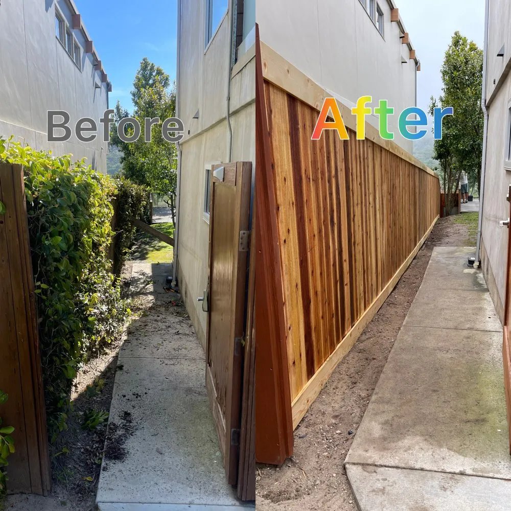 Expert lawn care service for beautiful yards across Lake Forest, CA - Garden Gods