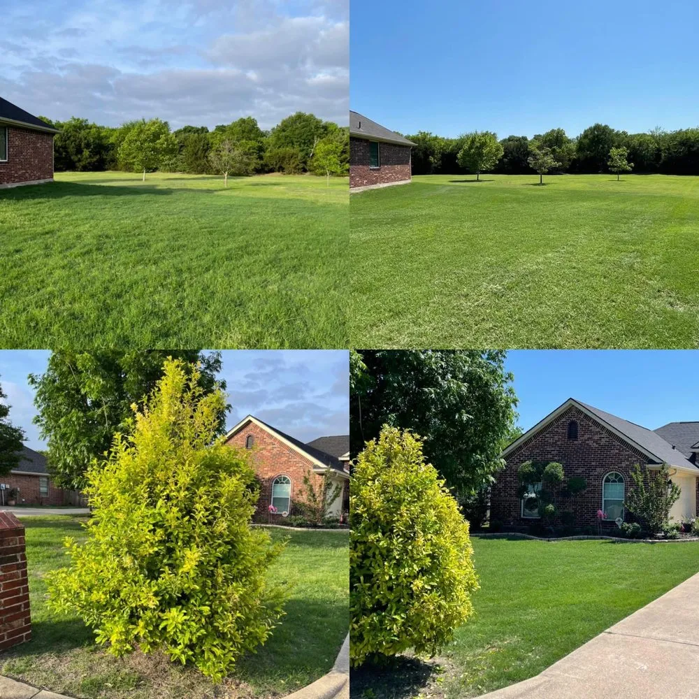 Affordable yard cleanup service experts serving Waxahachie, TX - Garden Gorilla Landscaping