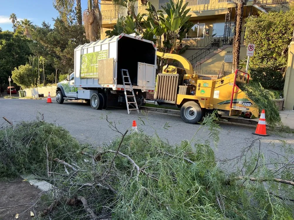 Custom yard cleanup service for year-round maintenance in Jurupa Valley, CA by Garden Green Landscaping & Tree Service