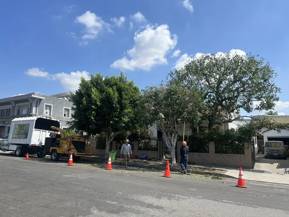 Local lawn care service near you across Jurupa Valley, CA - Garden Green Landscaping & Tree Service