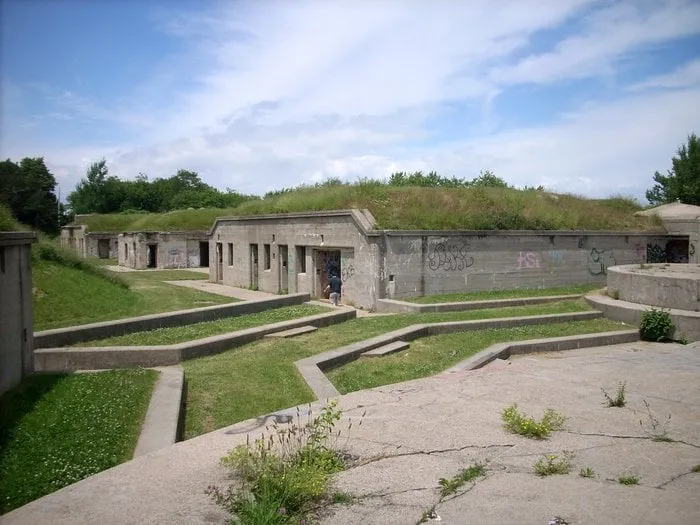 Local landscape installation for beautiful yards across Jurupa Valley, CA - Garden Green Landscaping & Tree Service