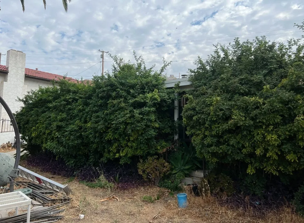 Reliable garden landscaping experts serving Jurupa Valley, CA - Garden Green Landscaping & Tree Service