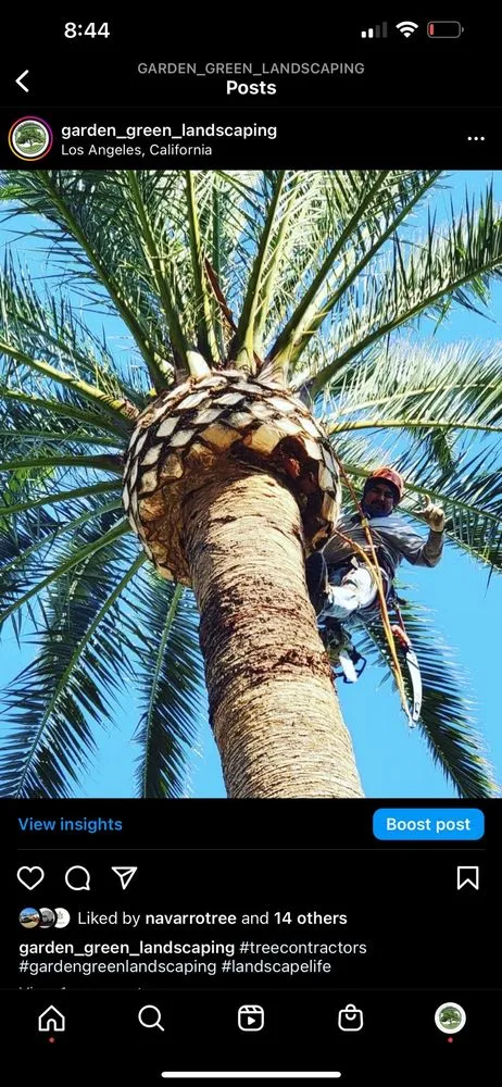 Reliable garden landscaping with custom design in Jurupa Valley, CA by Garden Green Landscaping & Tree Service