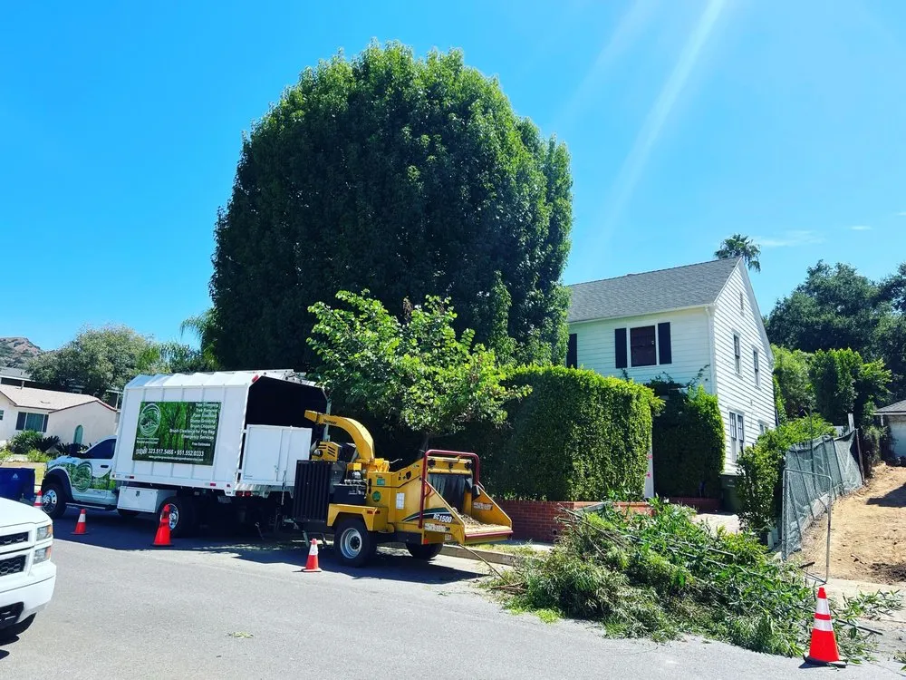 Professional yard maintenance experts serving Jurupa Valley, CA - Garden Green Landscaping & Tree Service