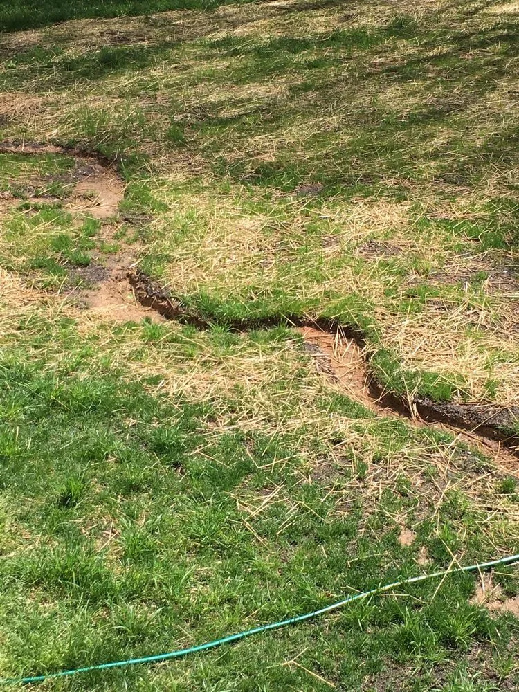 Custom yard cleanup service experts serving Huntersville, NC - Garden Grove