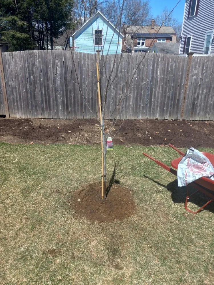 Expert outdoor landscaping in Keene, NH by Garden Grove Yardworks