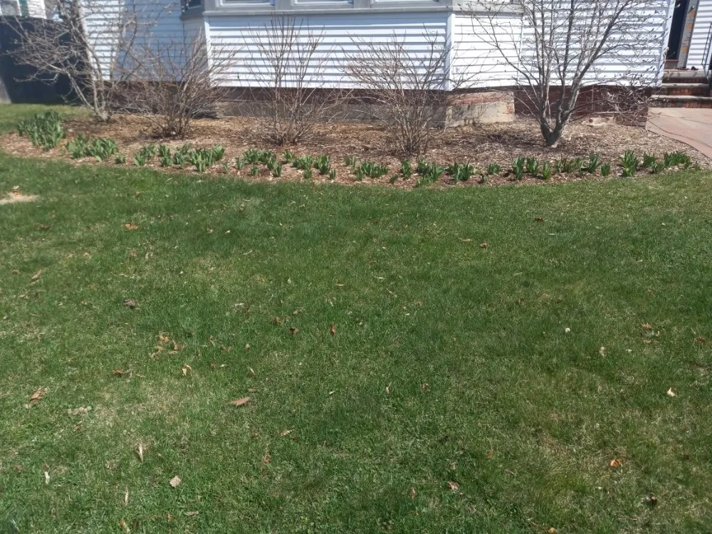 Affordable yard maintenance in Keene, NH - Garden Grove Yardworks