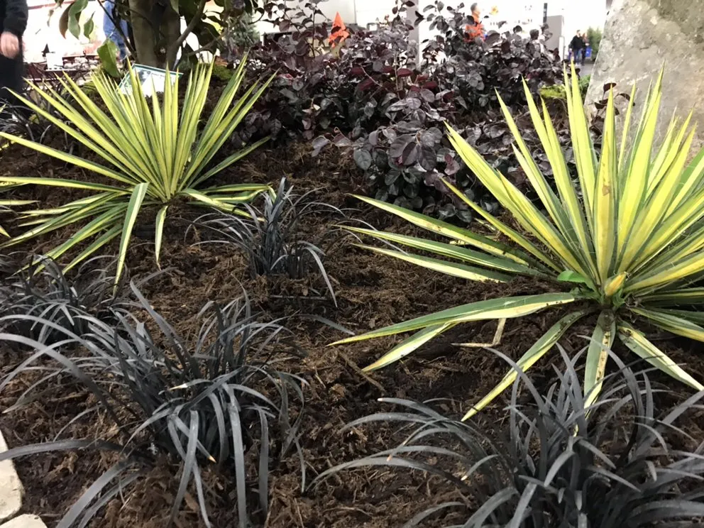 Custom lawn care service in Knoxville, TN by Garden Guru Services