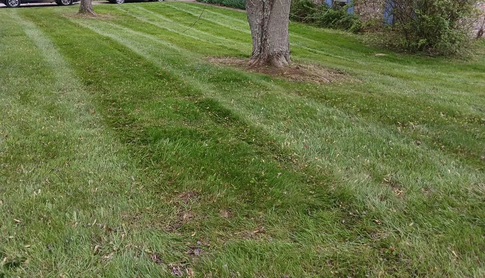 Affordable yard maintenance in Butler, KY by Garden Gurus Lawncare & Landscaping