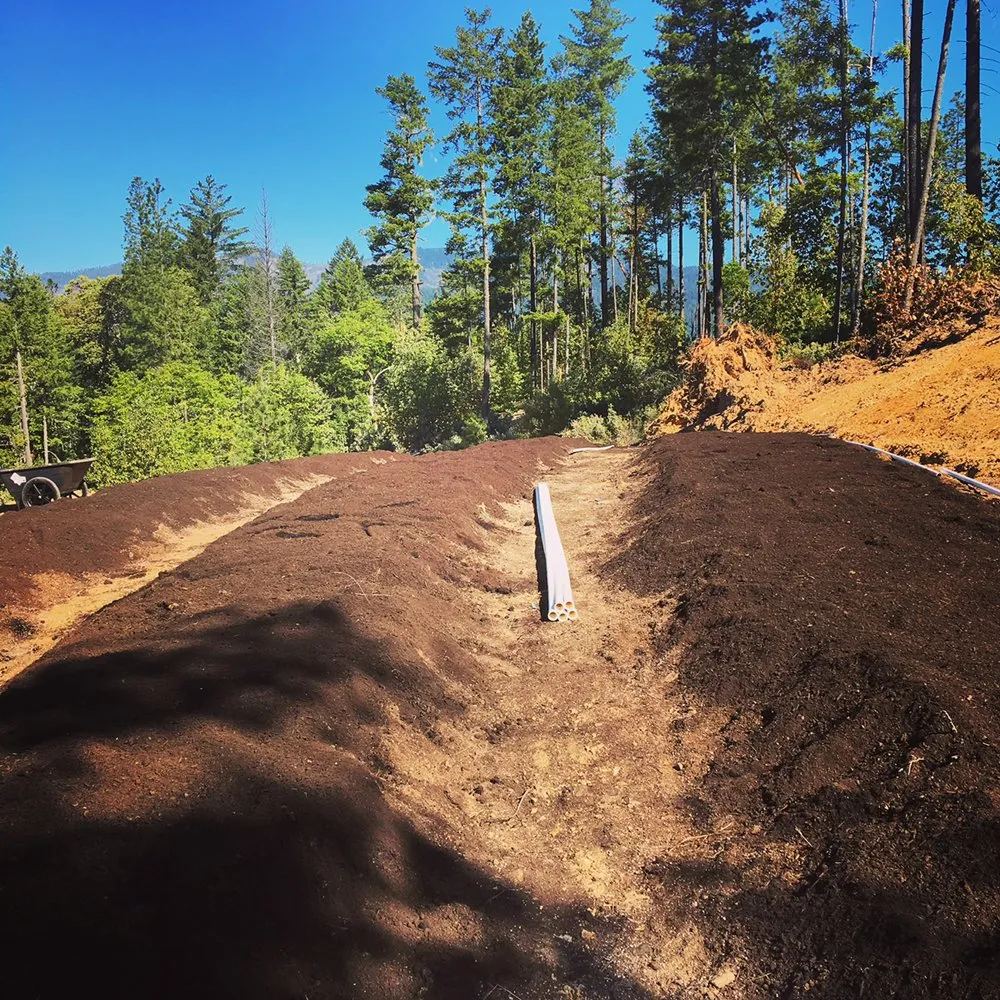 Trusted lawn care service for homes across Medford, OR - Garden Gurus