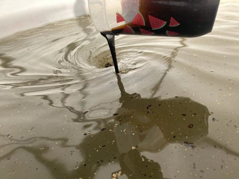 Professional residential landscaping for homes in Medford, OR by Garden Gurus