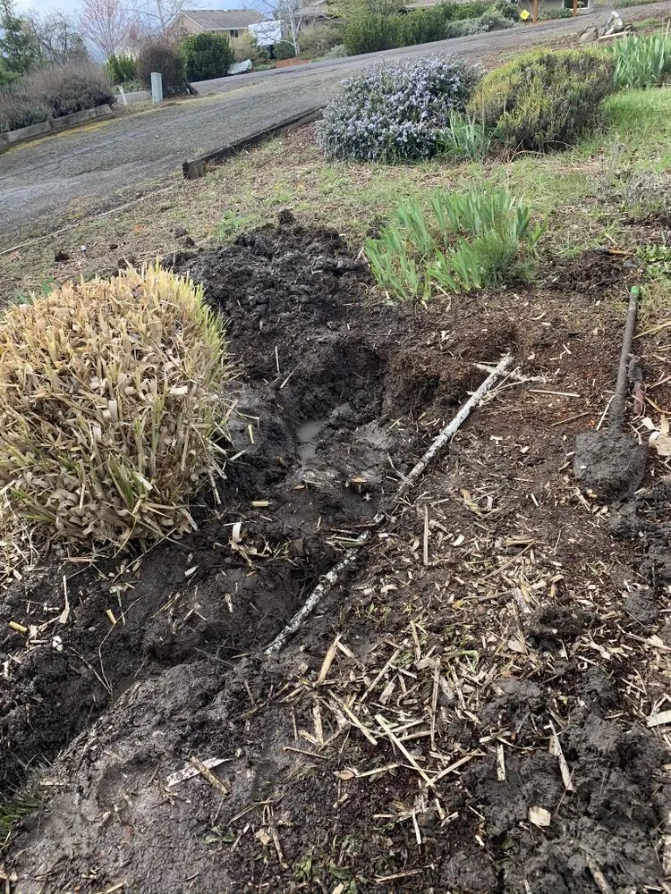 Custom landscaping services in Medford, OR - Garden Gurus