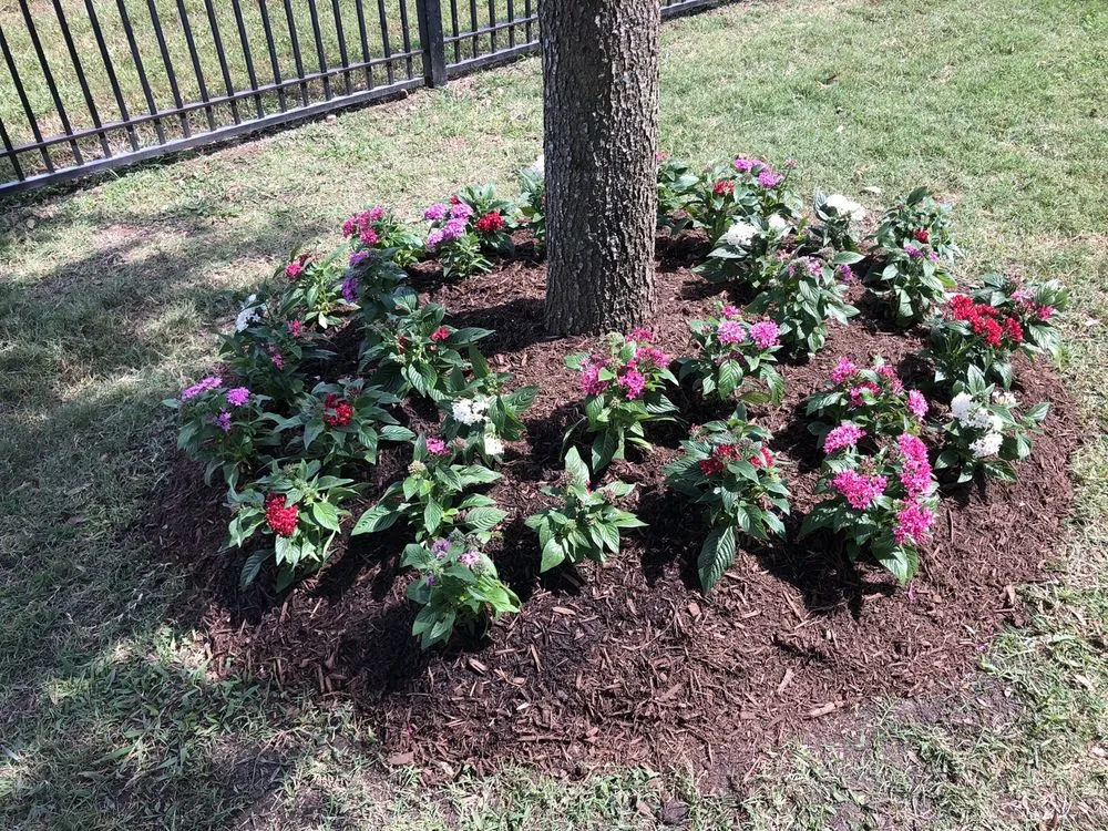Trusted residential landscaping in Missouri City, TX by Garden Guy