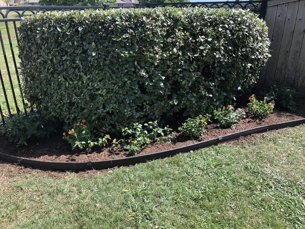 Professional lawn mowing service near you across Missouri City, TX - Garden Guy