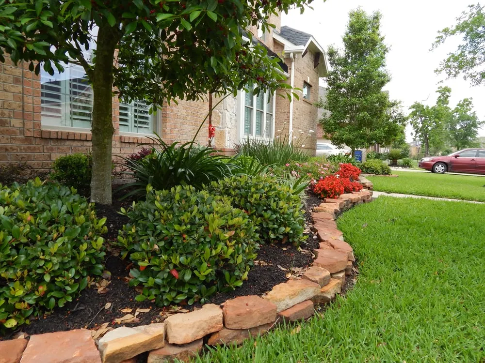 Local yard cleanup service for year-round maintenance across Missouri City, TX - Garden Guy