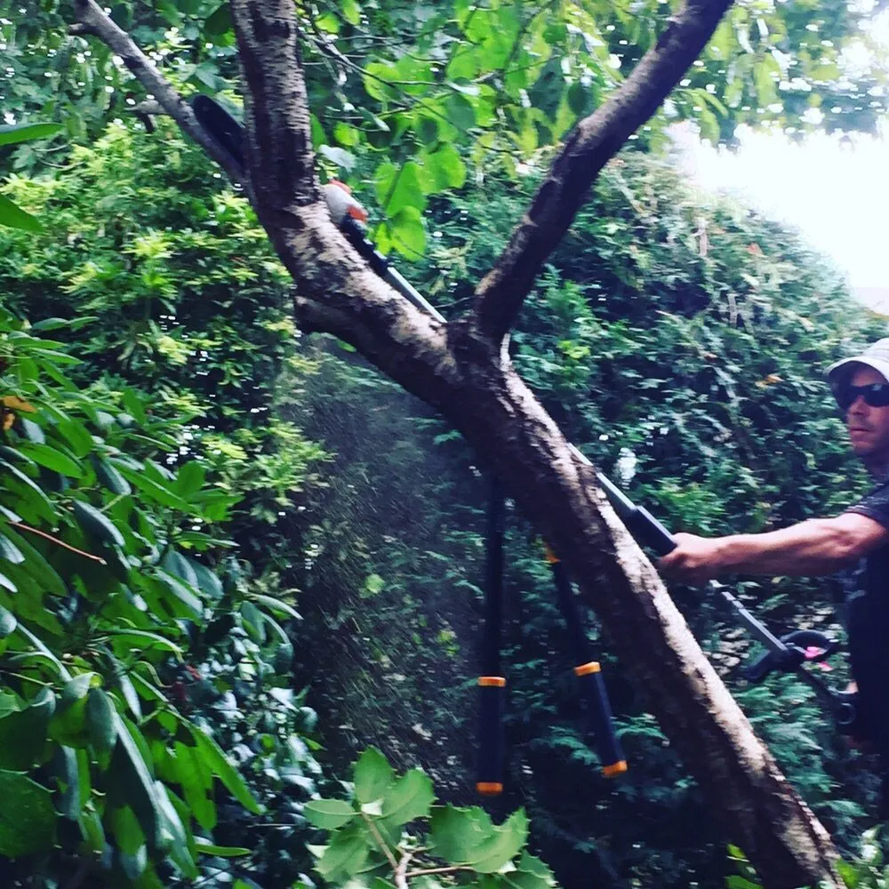 Reliable landscape installation in East Lyme, CT - Garden Guys