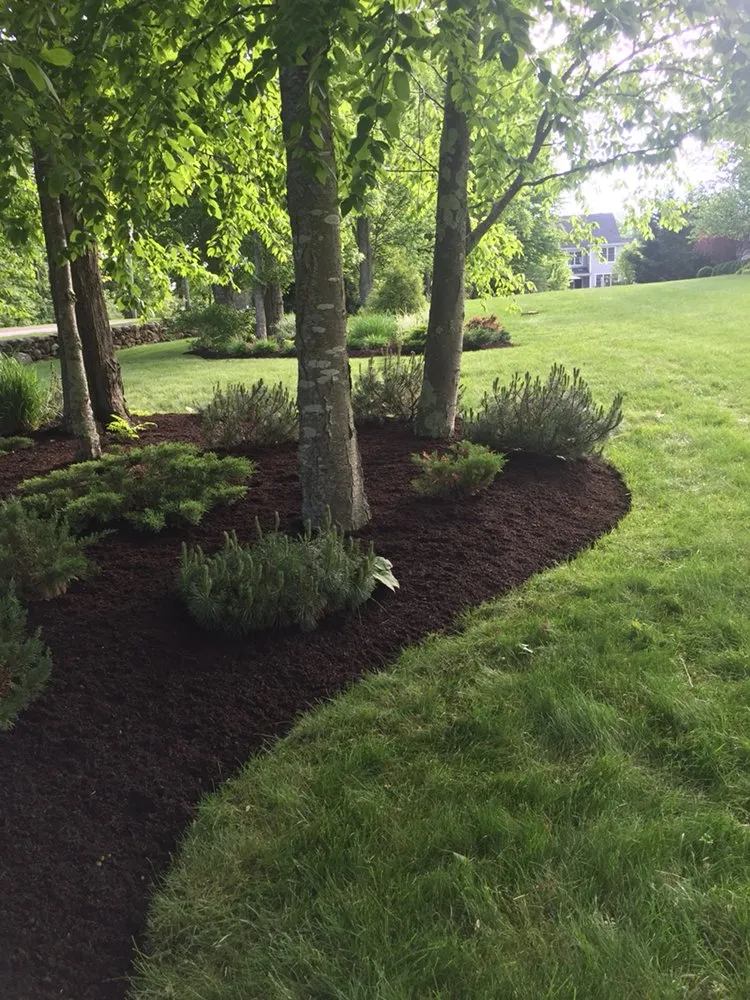 Trusted lawn care service for residential properties in East Lyme, CT by Garden Guys