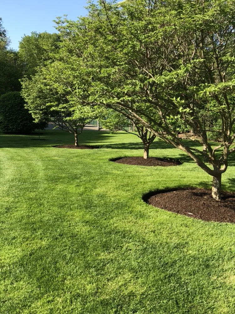 Trusted landscaping services in East Lyme, CT by Garden Guys