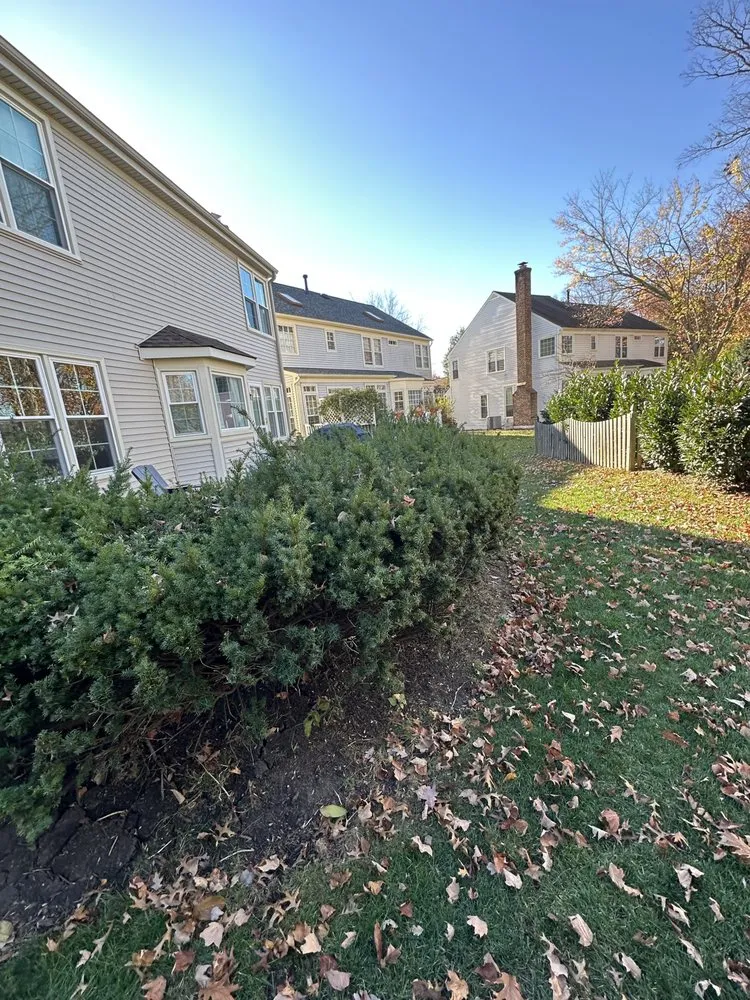 Expert lawn care service in Leesburg, VA - Garden Harmony