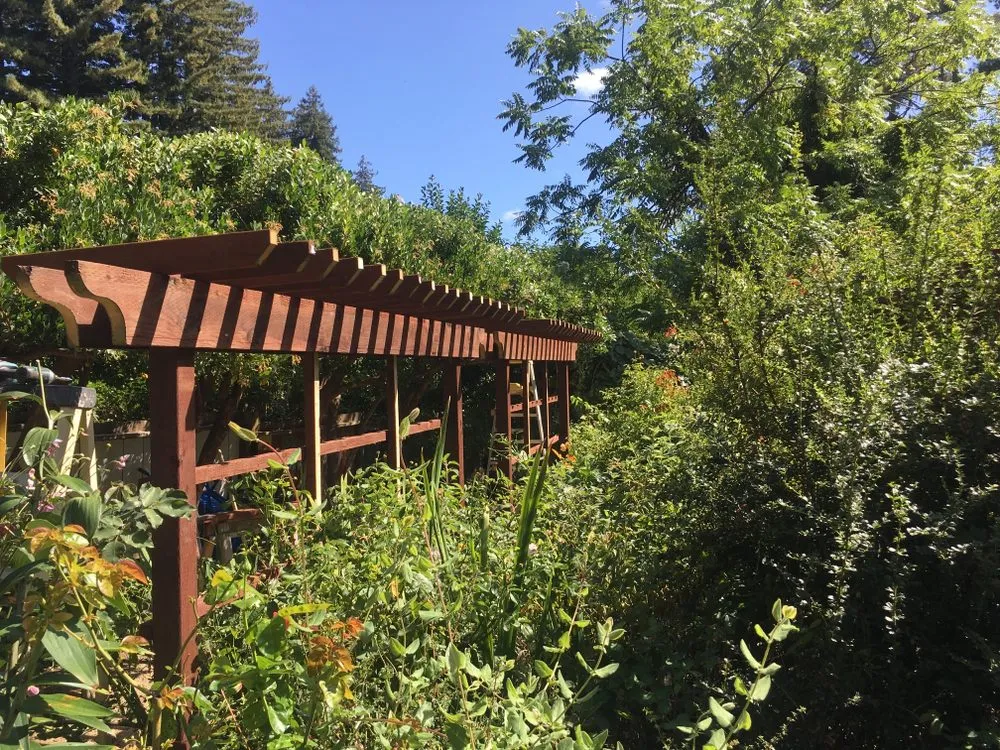 Professional landscape design in Watsonville, CA by Garden Homebees