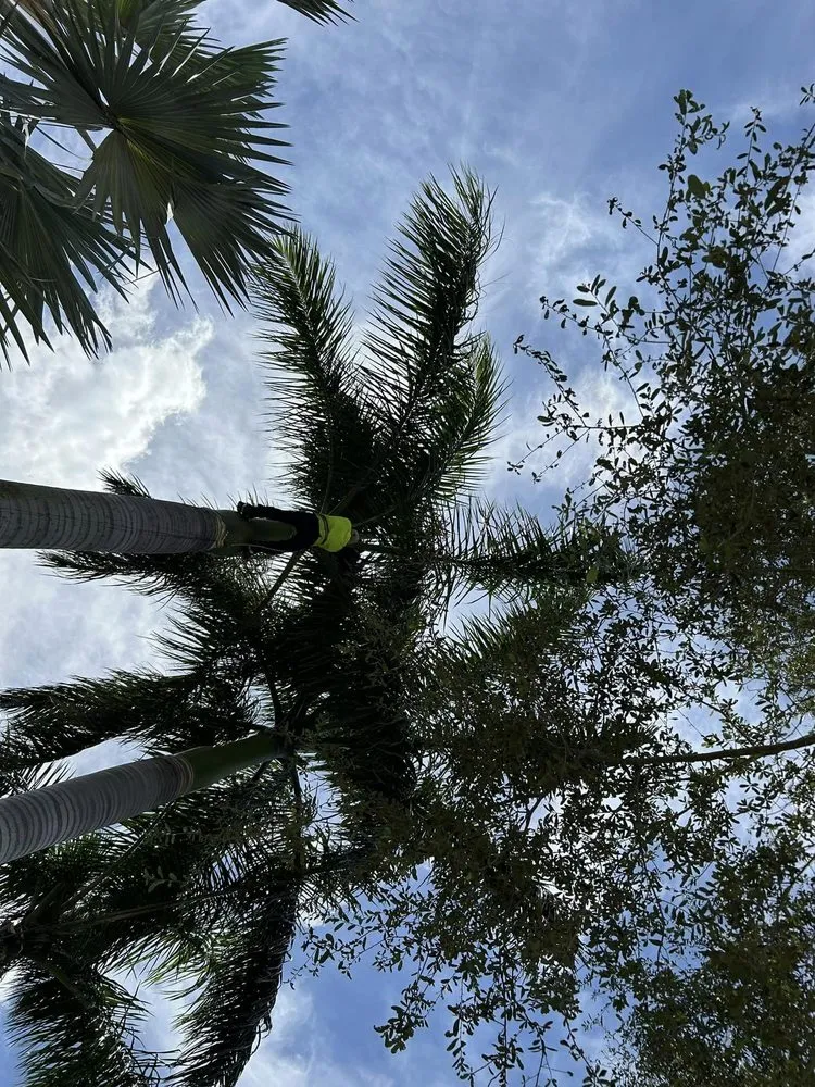 Top-rated lawn mowing service experts serving Greenacres, FL - Garden King Maitenance