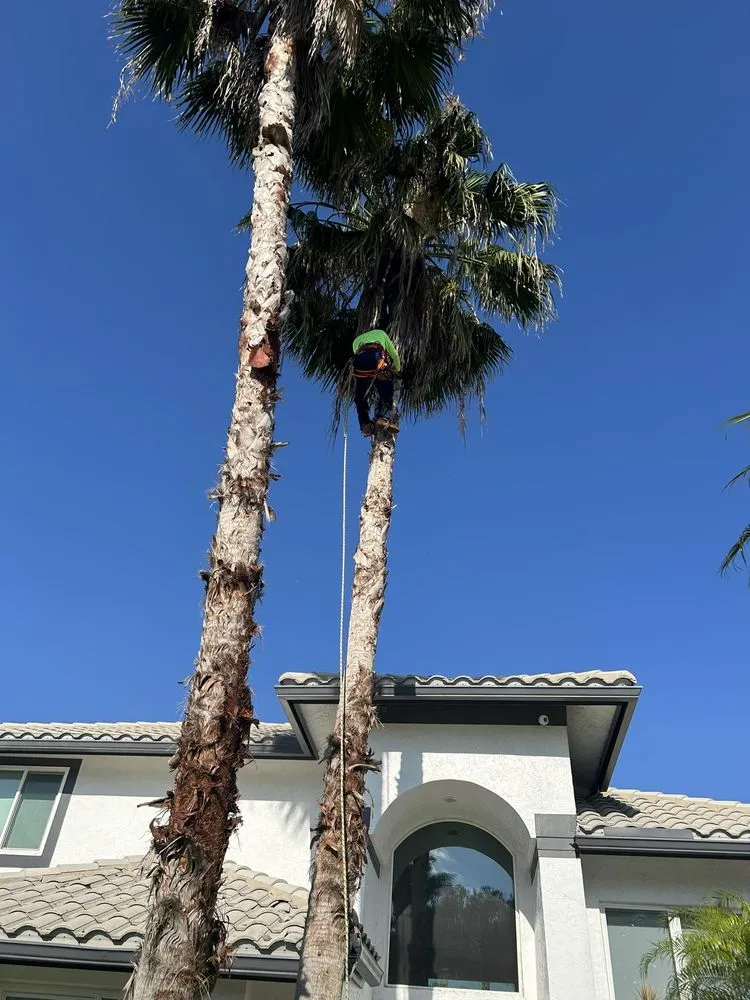 Reliable landscape installation in Greenacres, FL - Garden King Maitenance