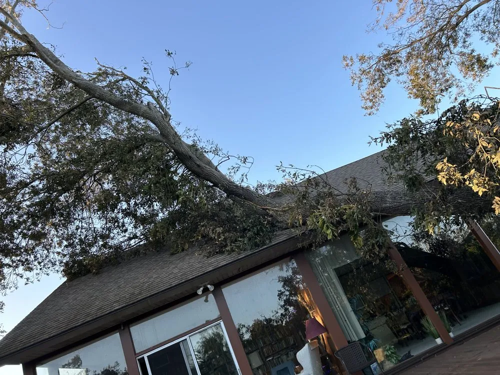 Top-rated landscaping services in Greenacres, FL by Garden King Maitenance