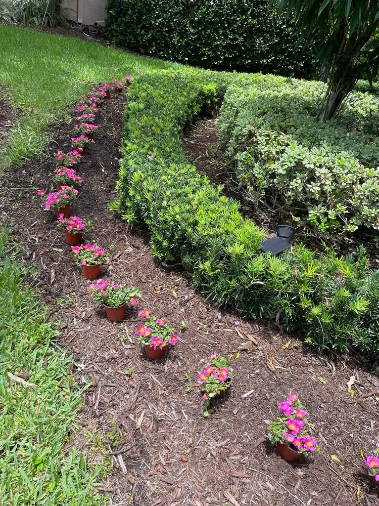 Trusted landscaping services for homes across Greenacres, FL - Garden King Maitenance