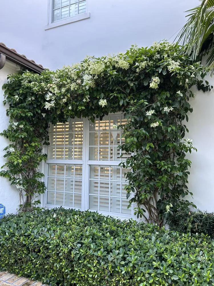 Professional lawn care service for homes across Greenacres, FL - Garden King Maitenance