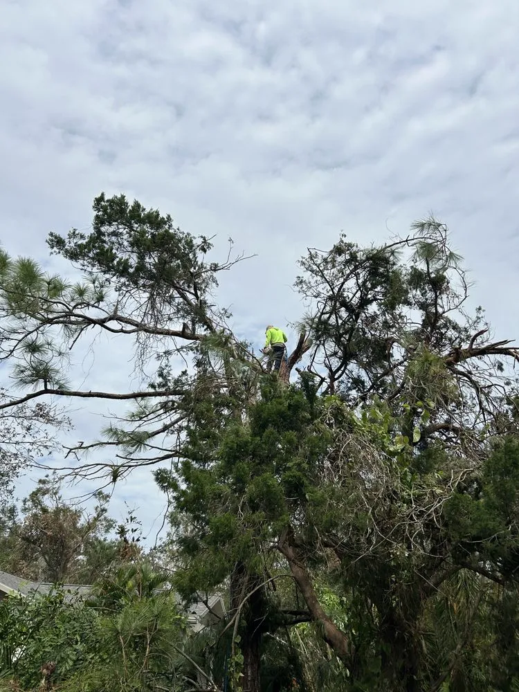Local garden landscaping in Greenacres, FL - Garden King Maitenance