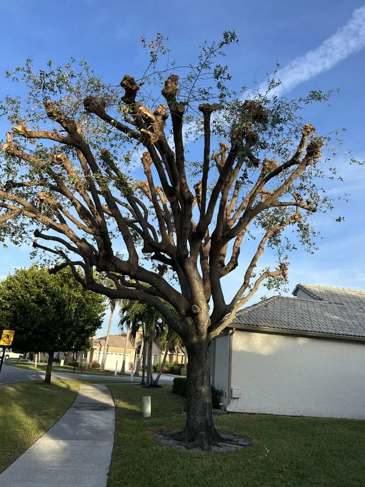 Custom lawn mowing service in Greenacres, FL by Garden King Maitenance