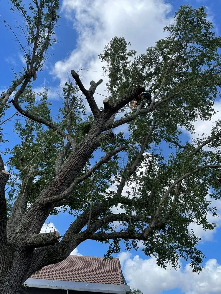 Custom lawn care service for residential properties across Greenacres, FL - Garden King Maitenance