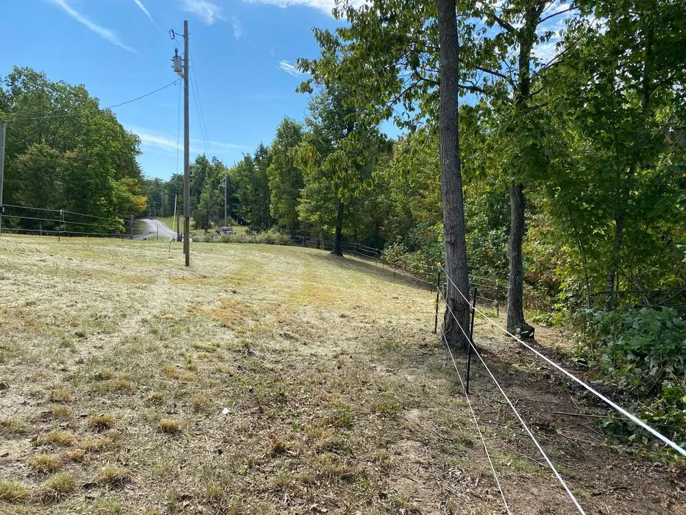 Top-rated yard cleanup service in Jamestown, TN by Garden Kings