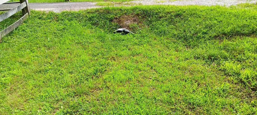 Affordable yard cleanup service for residential properties in Jamestown, TN by Garden Kings