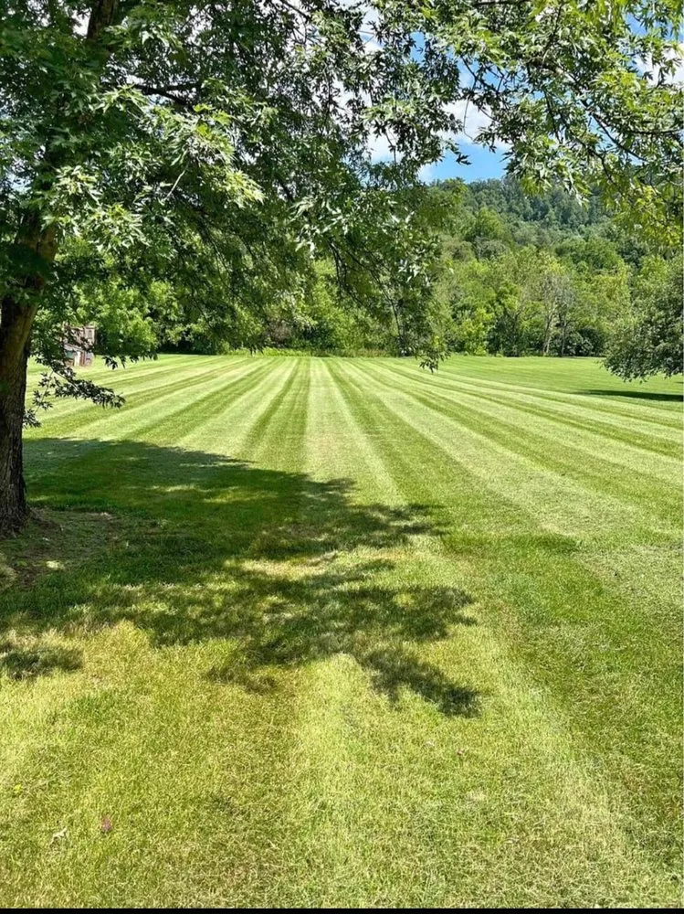 Top-rated yard cleanup service for year-round maintenance across Jamestown, TN - Garden Kings