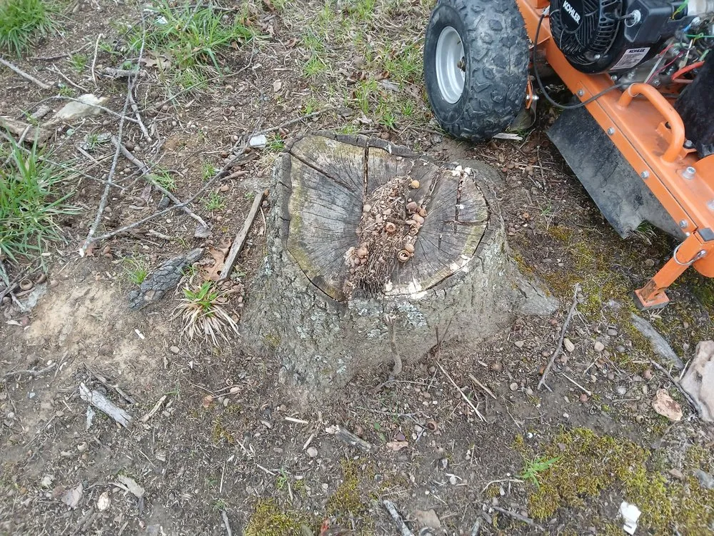 Professional lawn care service in Jamestown, TN by Garden Kings