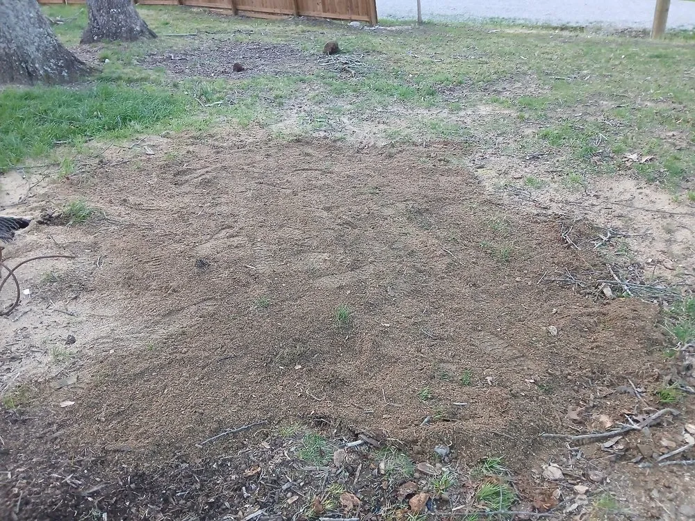 Professional residential landscaping near you across Jamestown, TN - Garden Kings