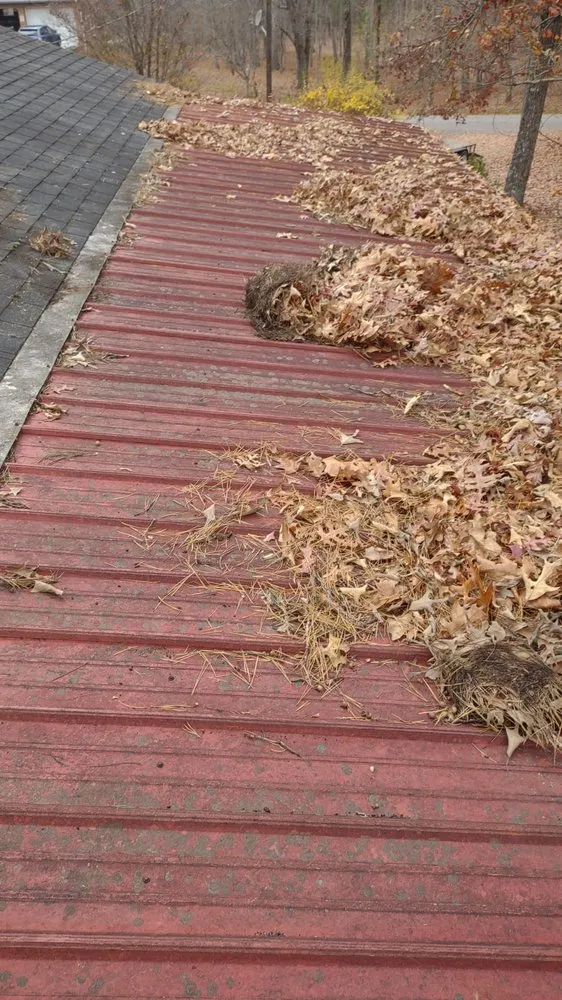 Expert lawn mowing service in Jamestown, TN by Garden Kings