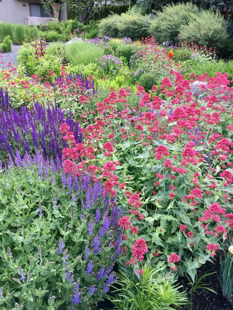 Trusted lawn care service in Spokane, WA - Garden Landscapes