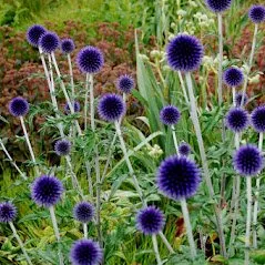 Professional lawn mowing service in Spokane, WA - Garden Landscapes