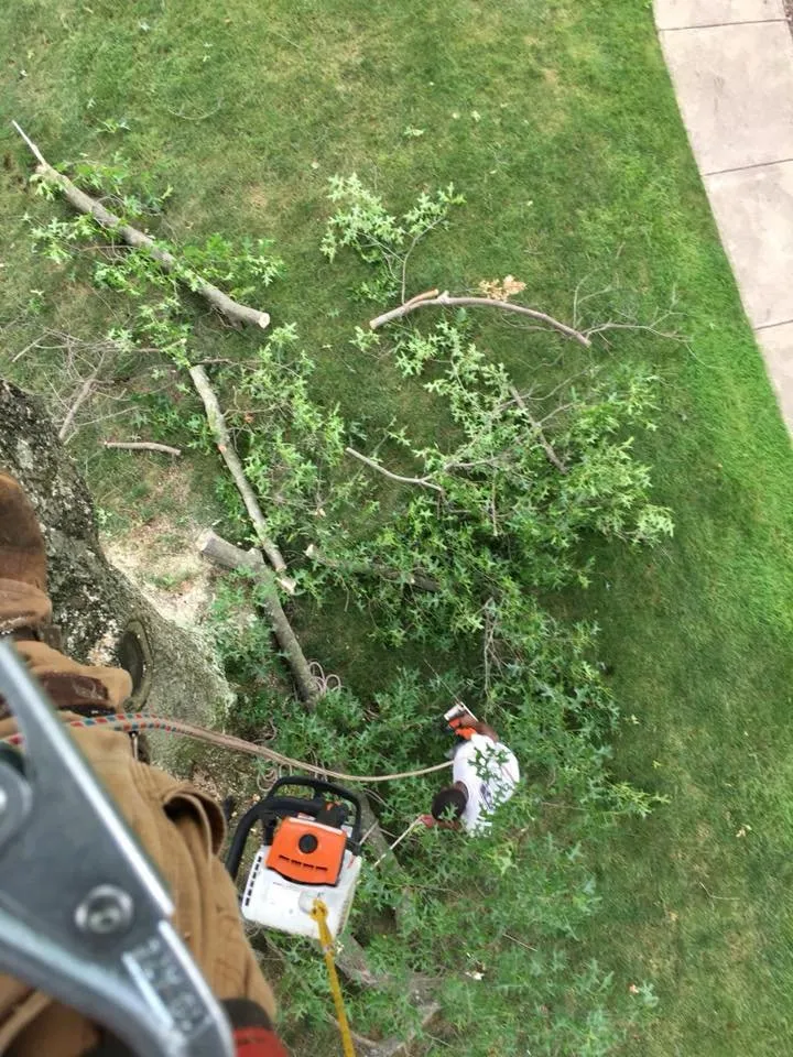 Expert lawn care service experts serving Fairlawn, OH - Garden Landscaping and Tree Service