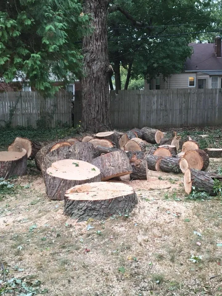 Custom landscape installation for outdoor upgrades across Fairlawn, OH - Garden Landscaping and Tree Service