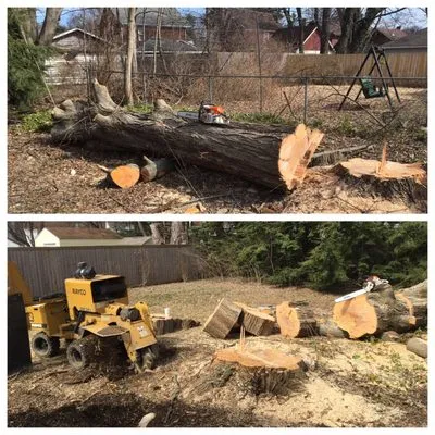 Garden Landscaping and Tree Service