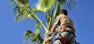 Affordable landscaping services experts serving Oakland, CA - Garden Landscaping Service