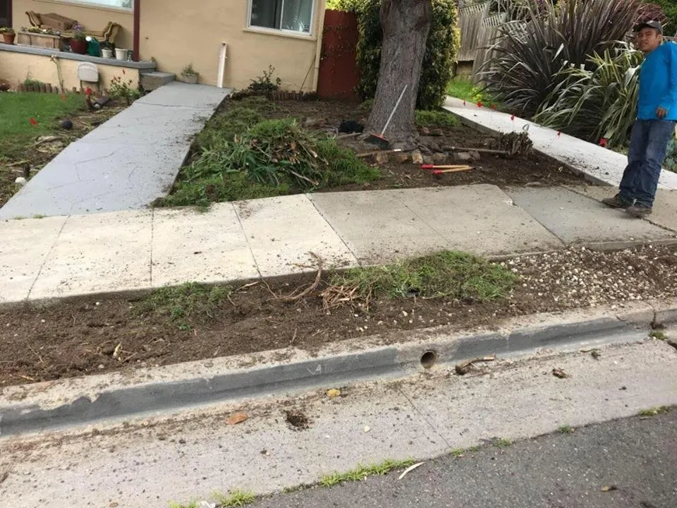 Affordable yard maintenance for outdoor upgrades across Oakland, CA - Garden Landscaping Service