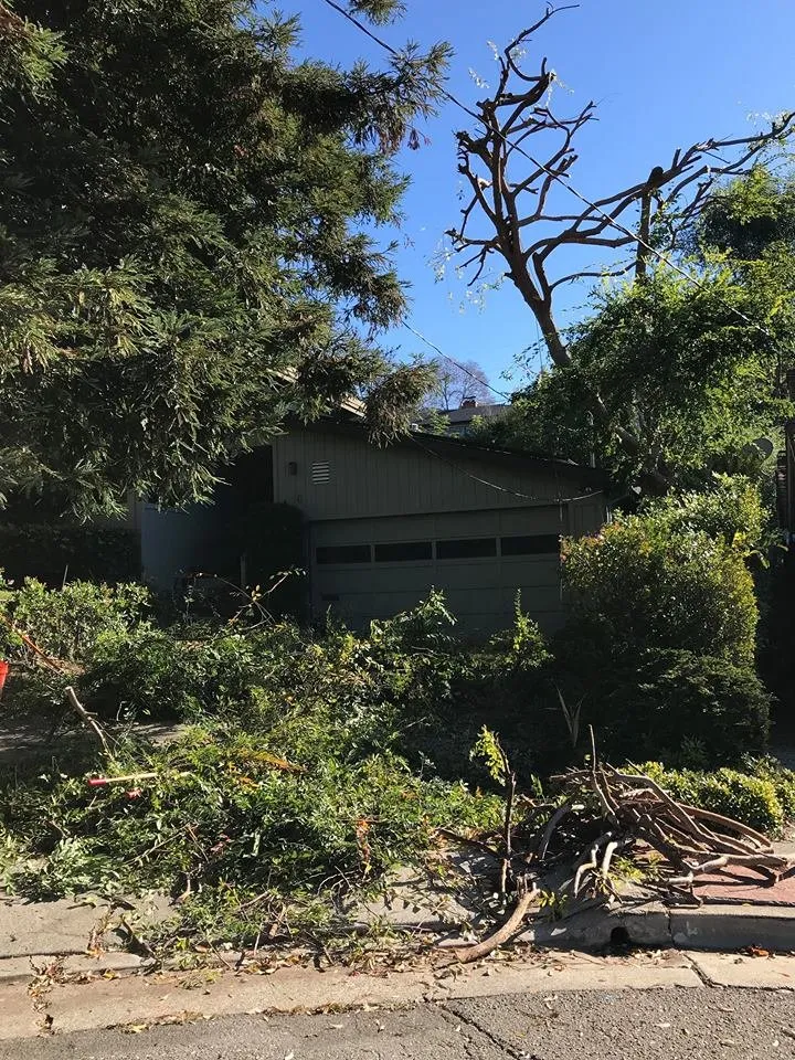 Expert yard maintenance in Oakland, CA - Garden Landscaping Service