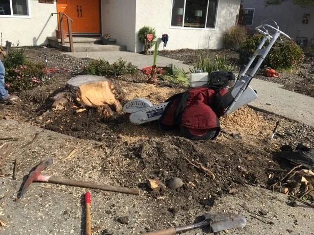 Custom lawn mowing service for outdoor upgrades in Oakland, CA by Garden Landscaping Service